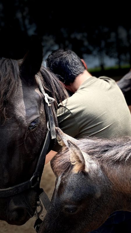 BCA970AE-014A-4E03-A01C-7BB6CAB67D94 (12)