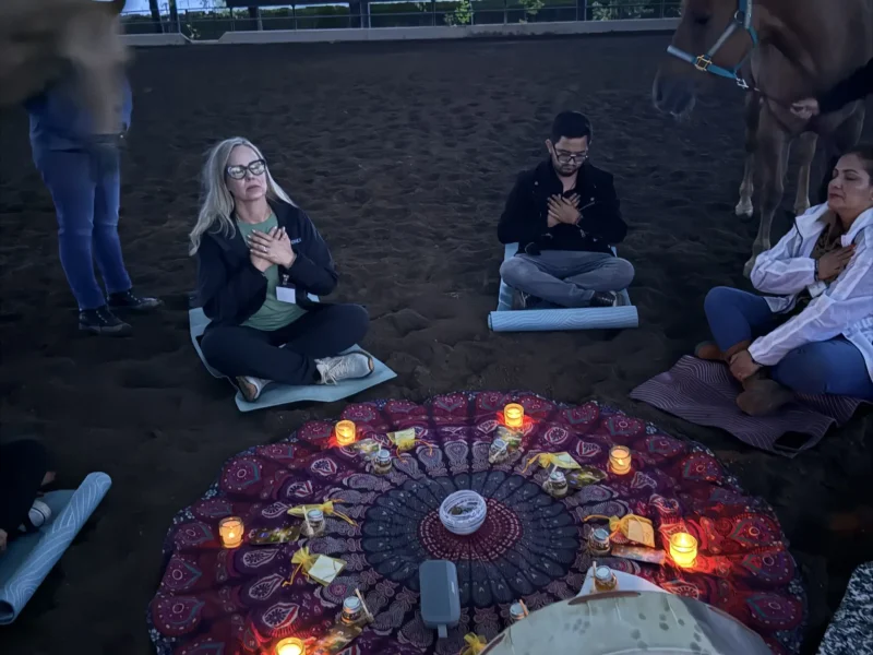 CEREMONIA DE SOLSTICIO DE VERANO CON CABALLOS AL AMANECER (1)