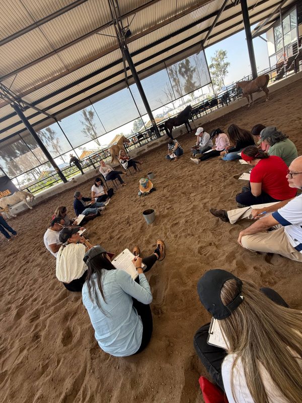 Ceremonia cierre de año