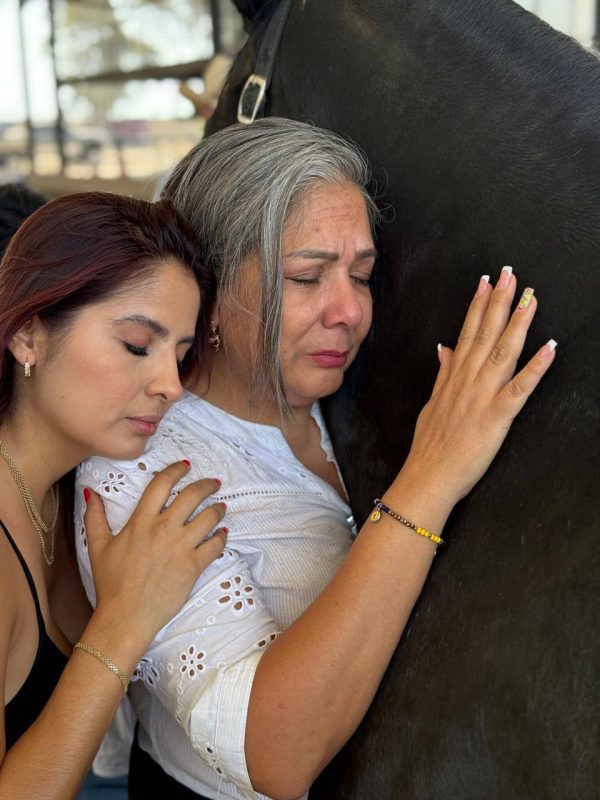 IMG_20250722_141506_339